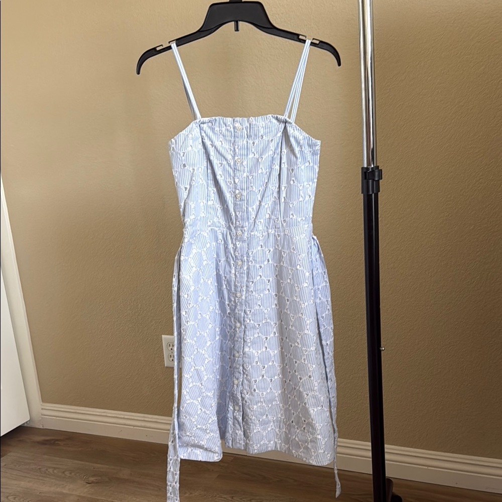 Banana Republic Blue Striped Eyelet Dress